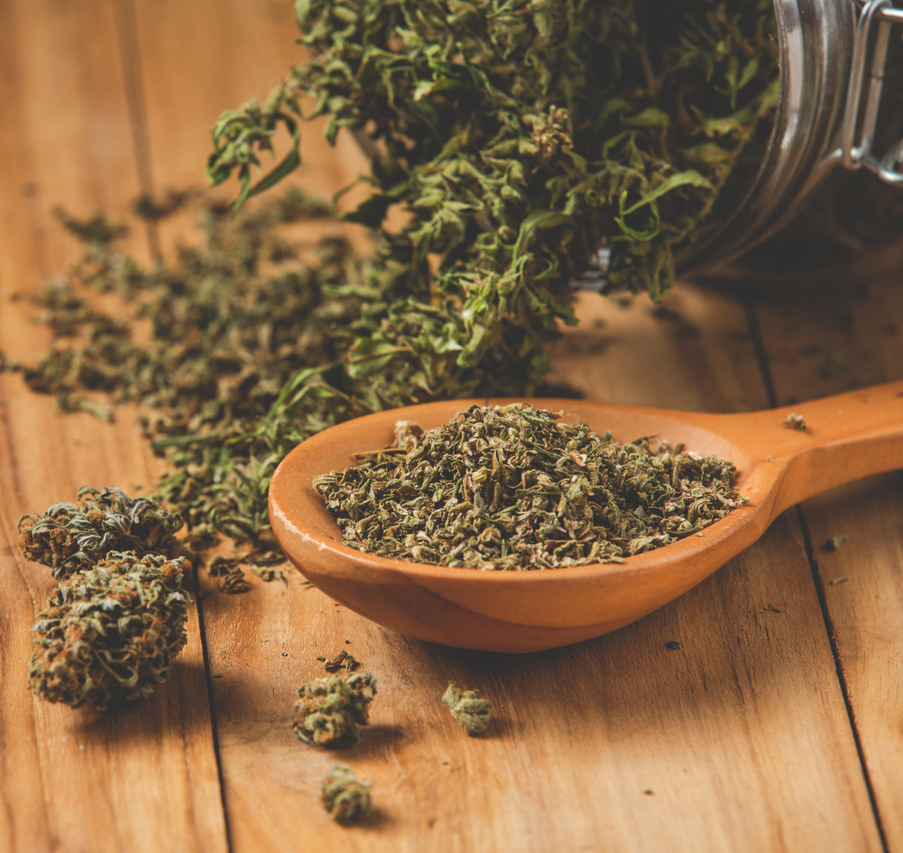 Pure Power Plant Strain: Effects & Flavor