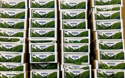 Wisconsin’s Top Mail Order Marijuana Services