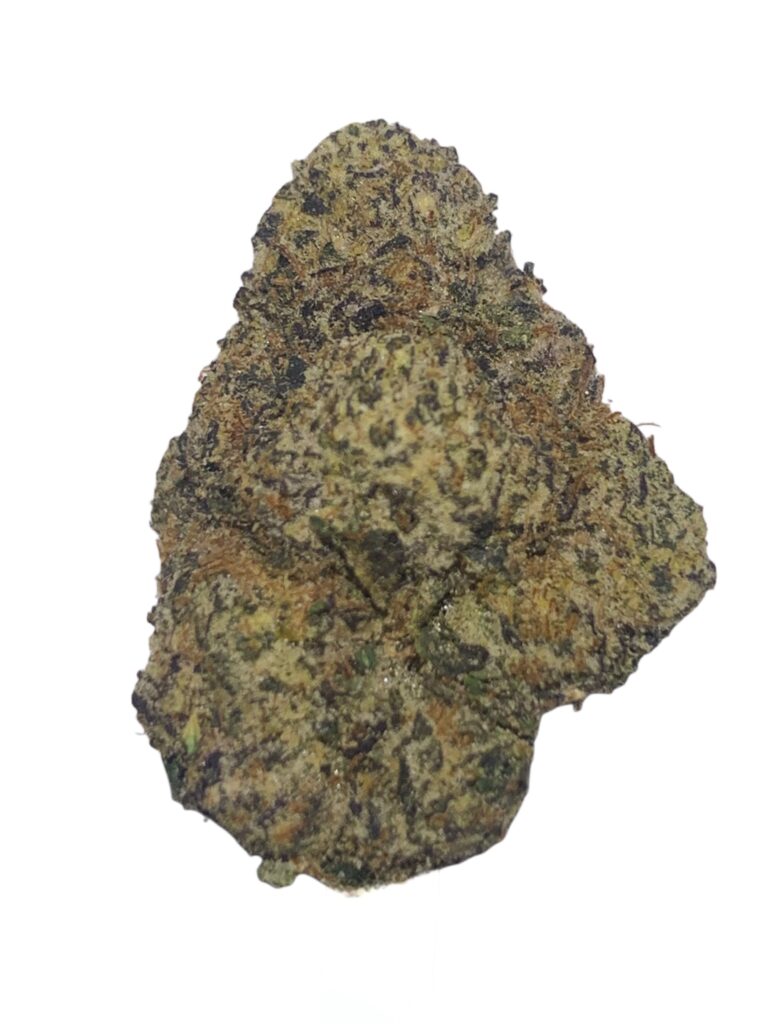 CHERRY GELATO