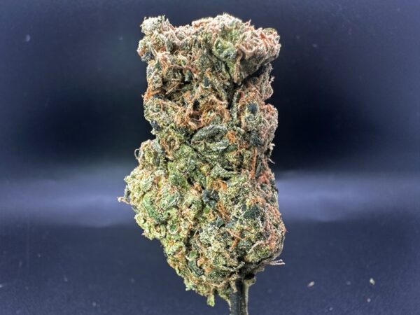 Sour Diesel - Imperial NYC 1