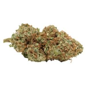 Gelato 45
