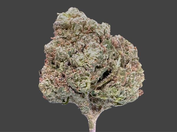 LEMON CHERRY GELATO