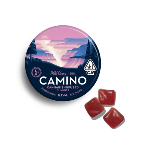 CAMINO - 100MG - WILD BERRY