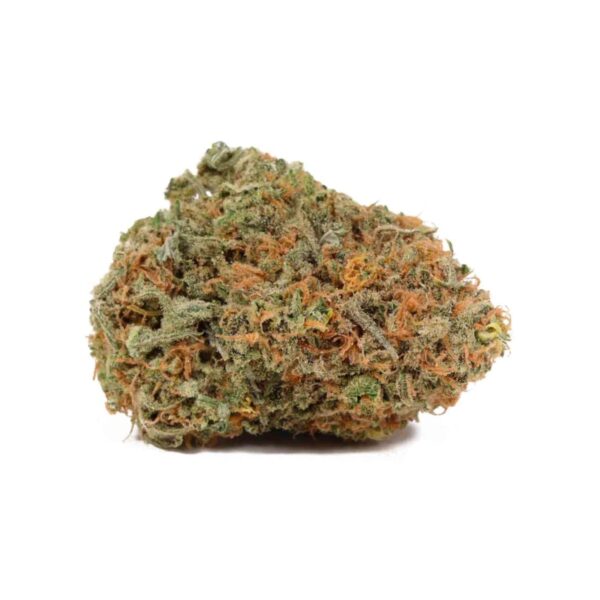 BLUE COOKIES