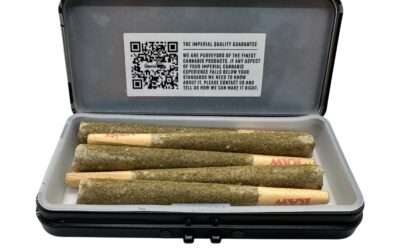 5 Essential Tips for Choosing the Perfect Cannabis Pre-Roll for an Elevated Experience