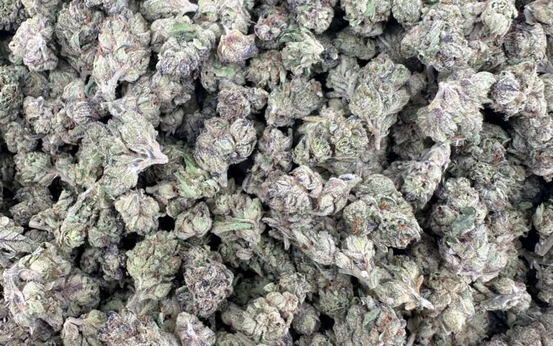 5 Must-Have Cannabis Pre-Rolls to Elevate Your Chill Sessions