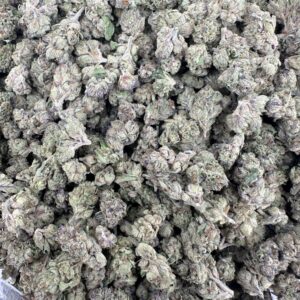 LEMON CHERRY GELATO (SMALLS)