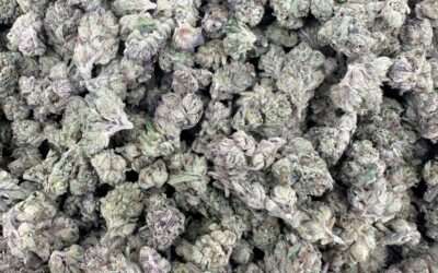 5 Must-Have Cannabis Pre-Rolls to Elevate Your Chill Sessions