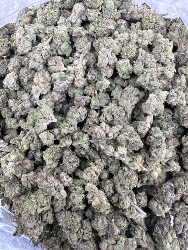 LEMON CHERRY GELATO (SMALLS)