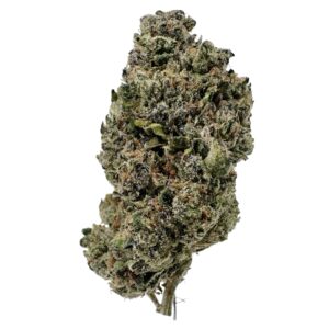 SHERB CREAM PIE