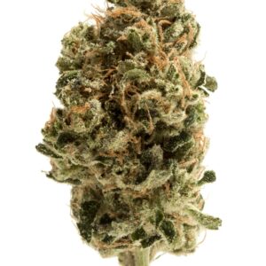 WHITE GUAVA