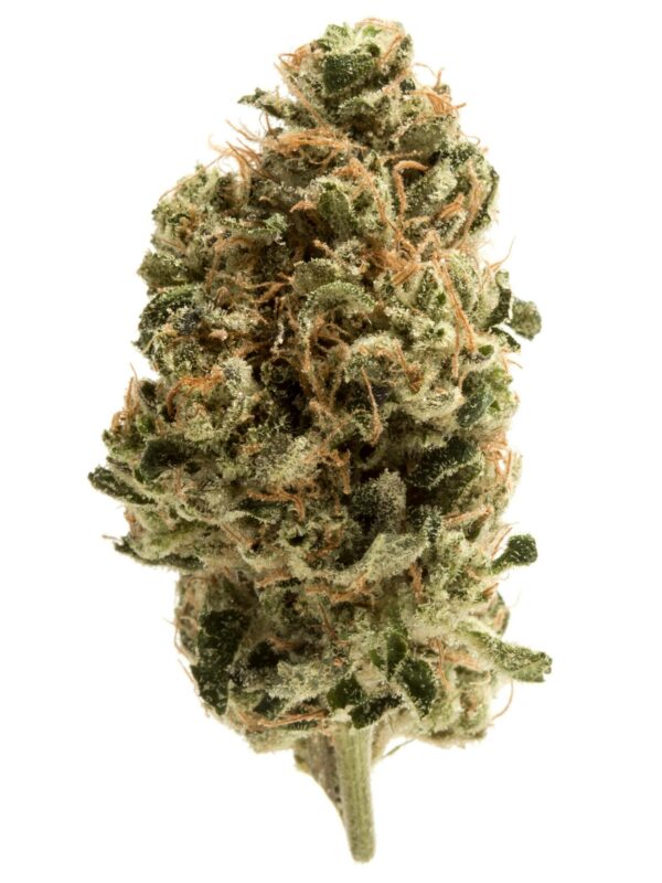 WHITE GUAVA