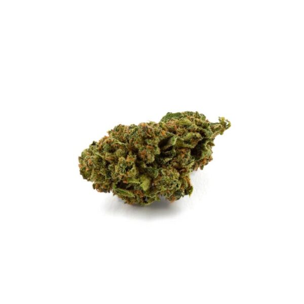 GORILLA GLUE (MINIS)