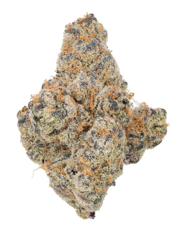 GLITTER BOMB