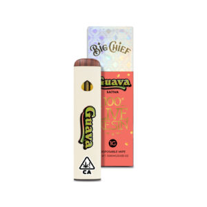 BIG CHEIF - LIVE RESIN 1G DISPO - GUAVA