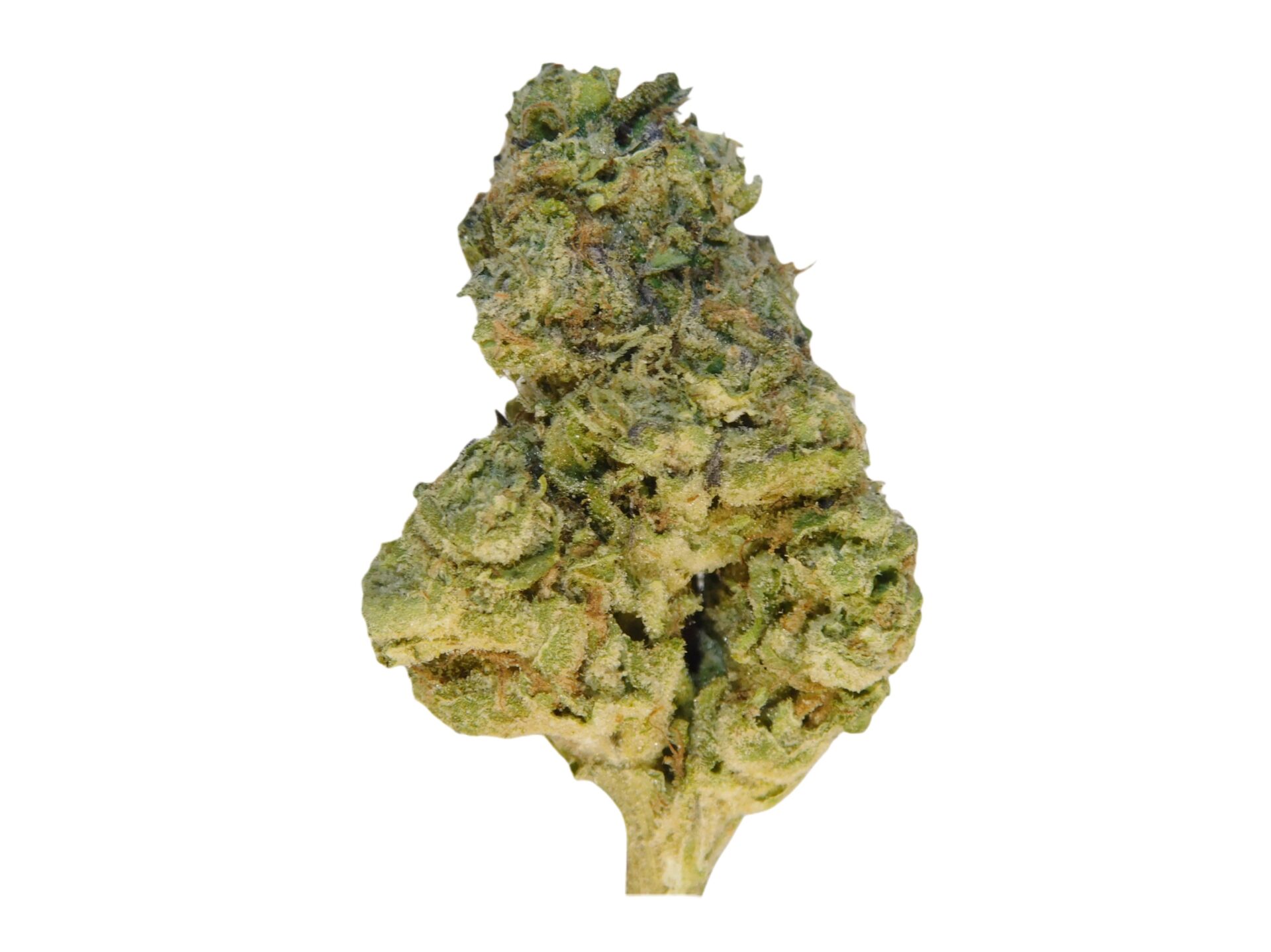 LONDON POUND CAKE - Imperial NYC 1 LONDON POUND CAKE