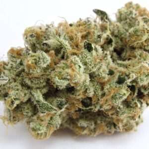 OG KUSH BREATH