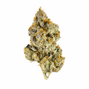 LEMON CHERRY GELATO