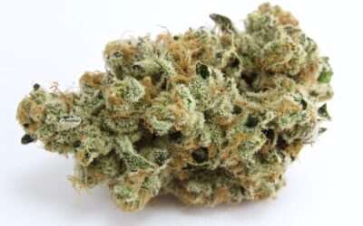 Top Cannabis Gift Ideas Delivered in NYC
