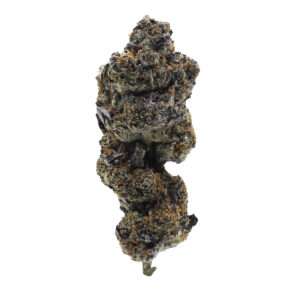 BLACK BISCOTTI