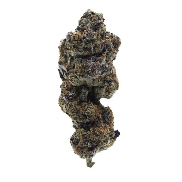 BLACK BISCOTTI
