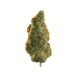GORILLA GLUE #4