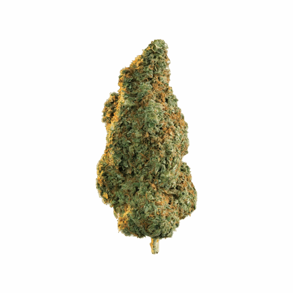 GORILLA GLUE #4