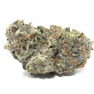 BLUE CAVIAR