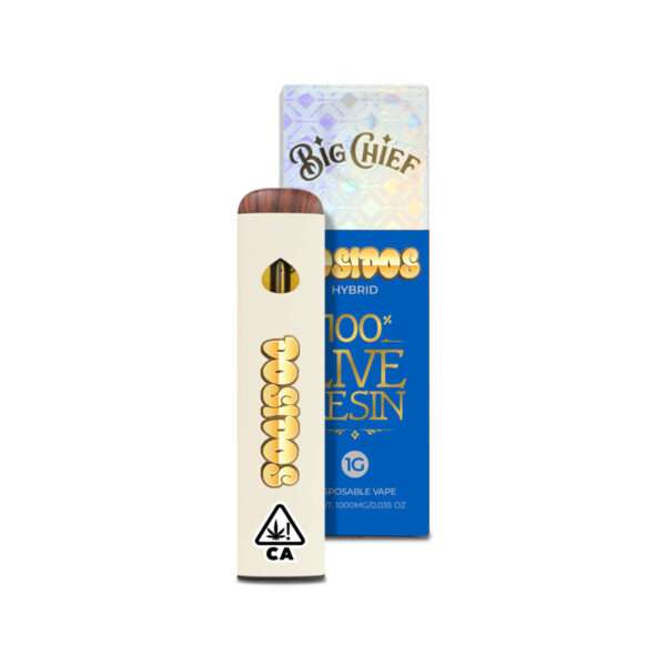 BIG CHIEF - LIVE RESIN 1G DISPOSABLE - DOSIDOS