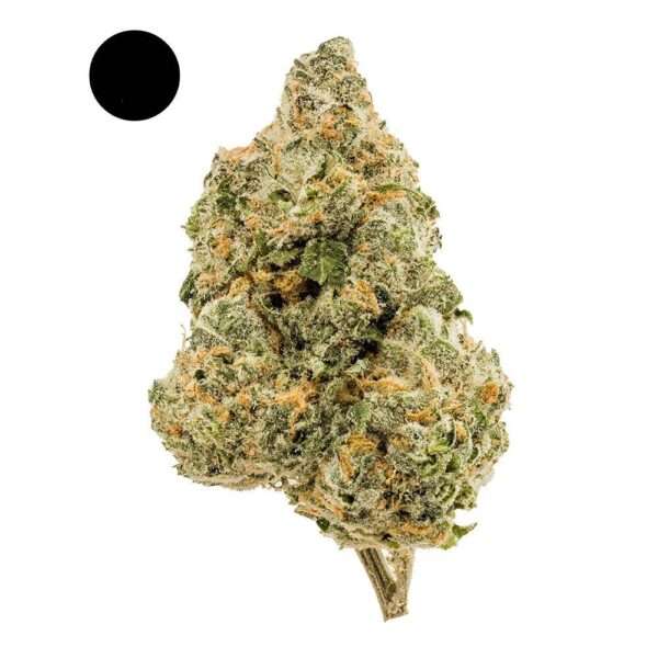 CRUNCH BERRY