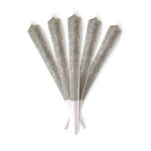 BOUTIQ snack pack 5 prerolls .5 gram