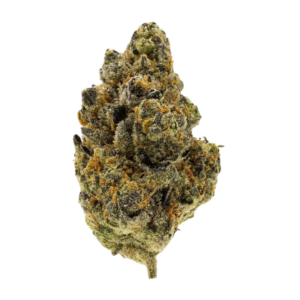 BUBBLE GUM