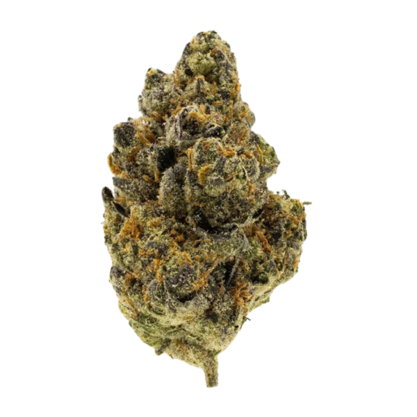 BUBBLE GUM