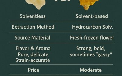 Live Rosin vs. Live Resin: What’s the Difference & Which Should You Buy?