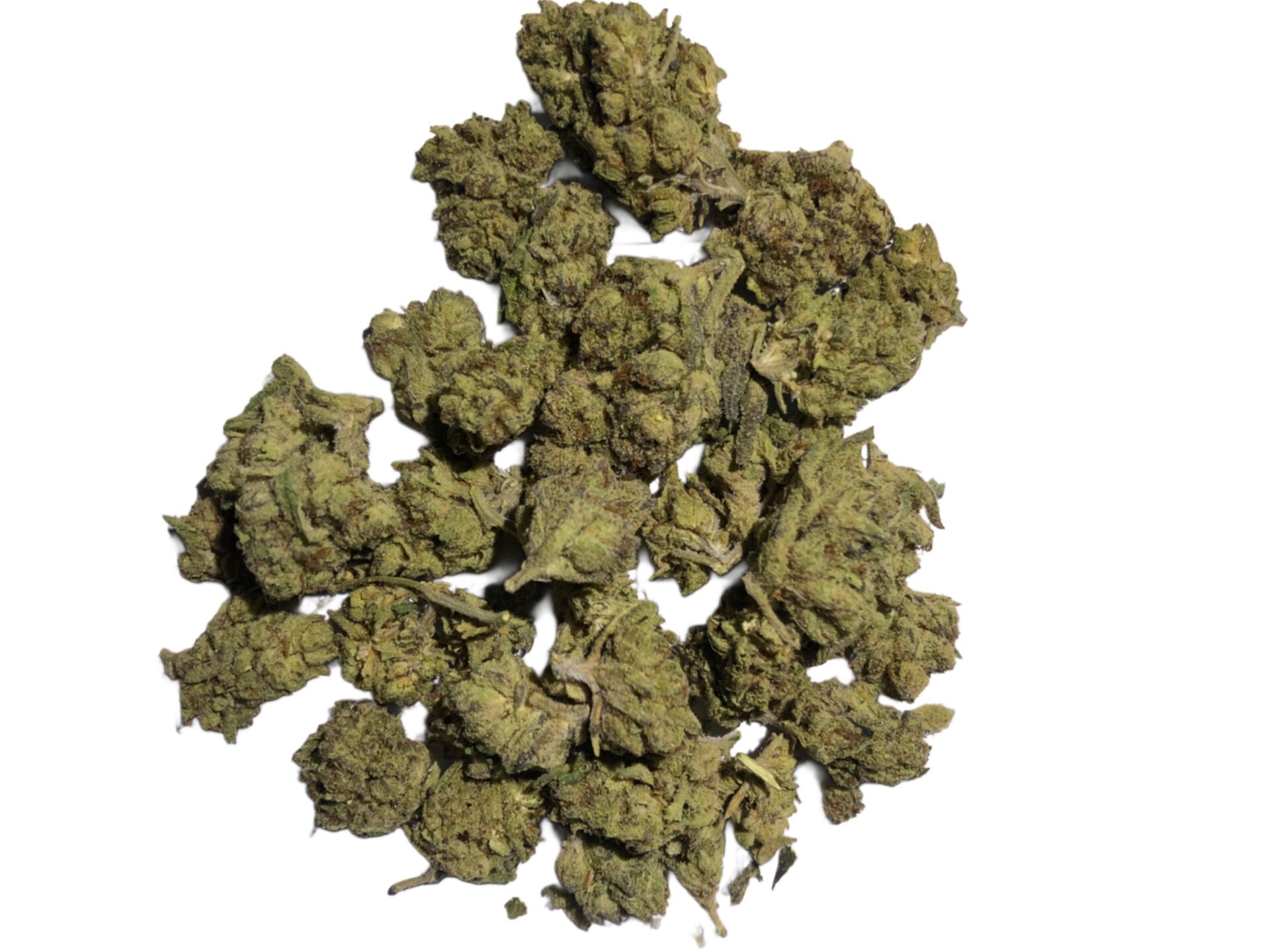 GARLIC BREATH - Imperial NYC 1 GARLIC BREATH