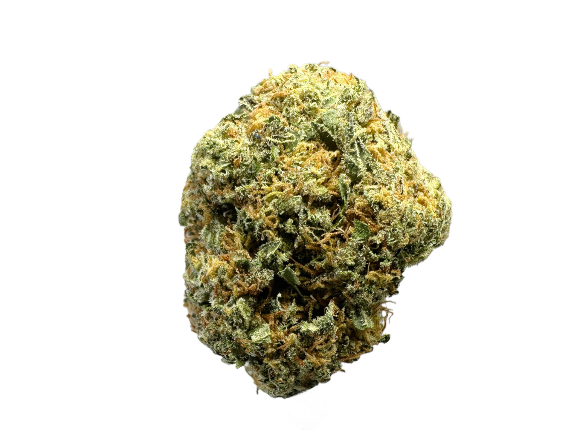 GORILLA GOO - Imperial NYC 1 GORILLA GOO