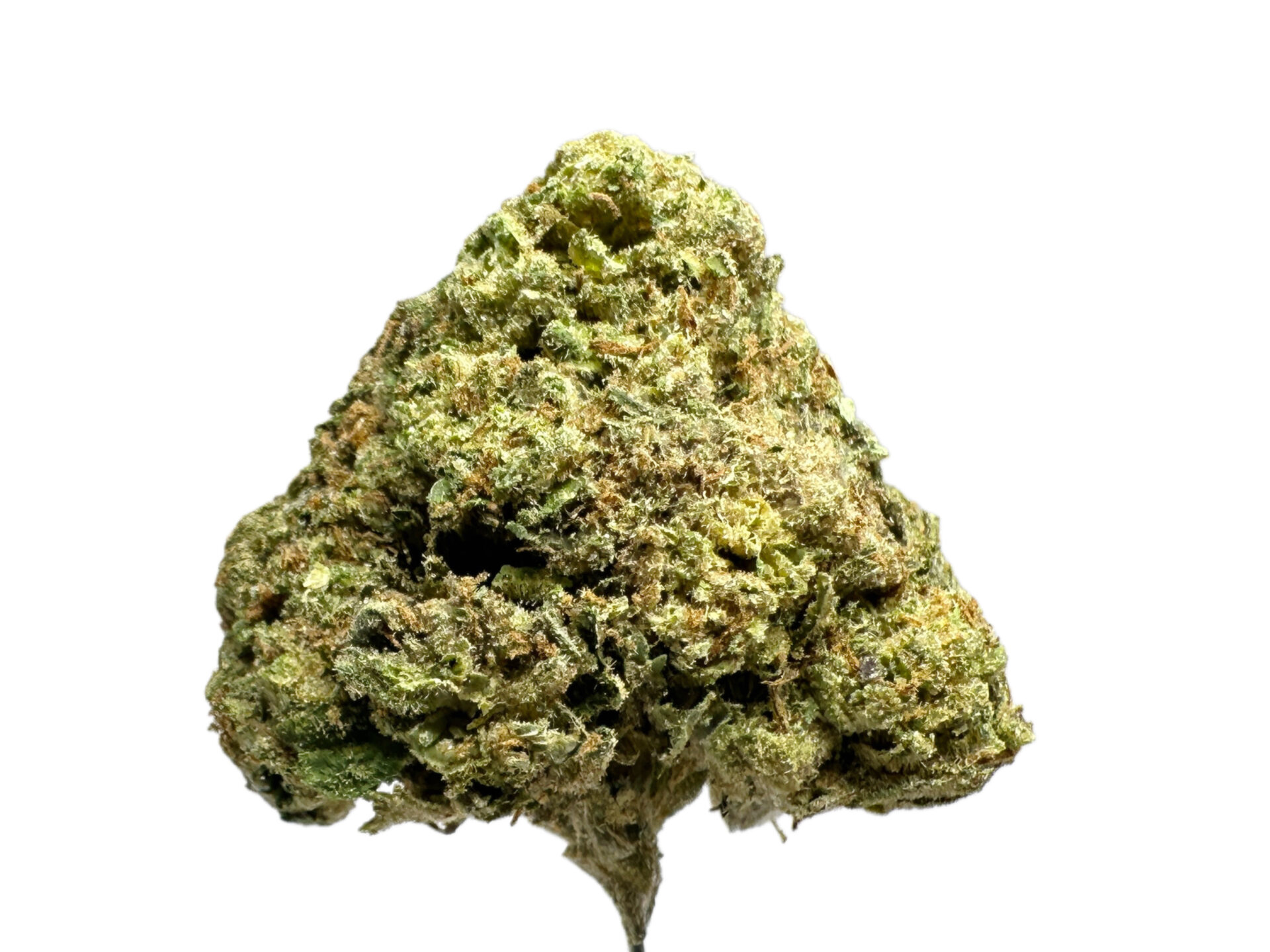 JOKERS - Imperial NYC 1 JOKERS