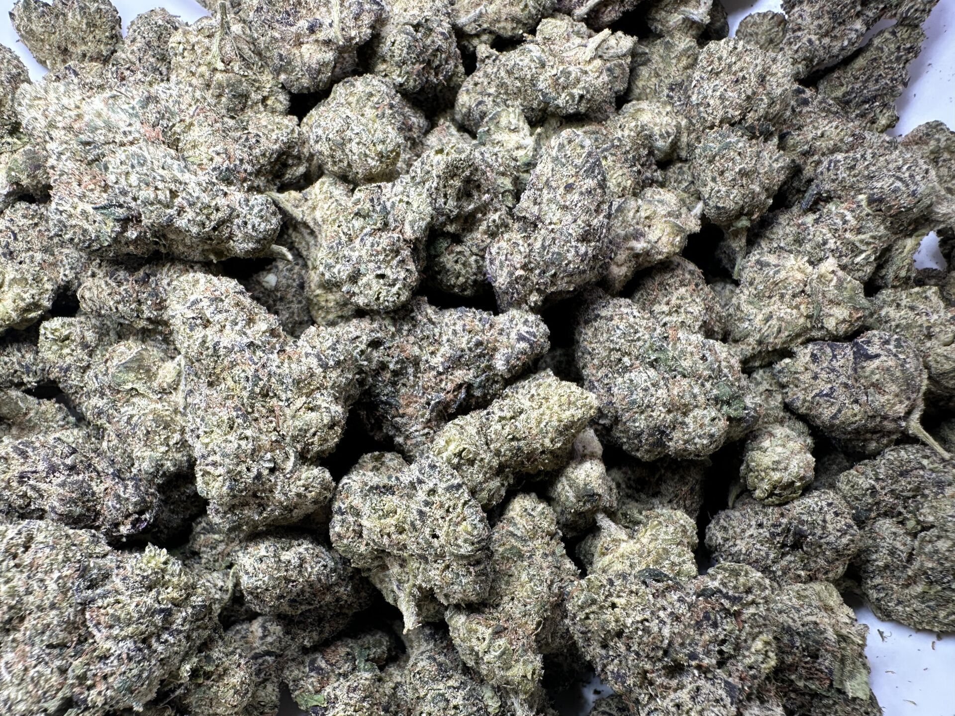 CHERRY SLUSHIE - Imperial NYC 2 CHERRY SLUSHIE - Image 2