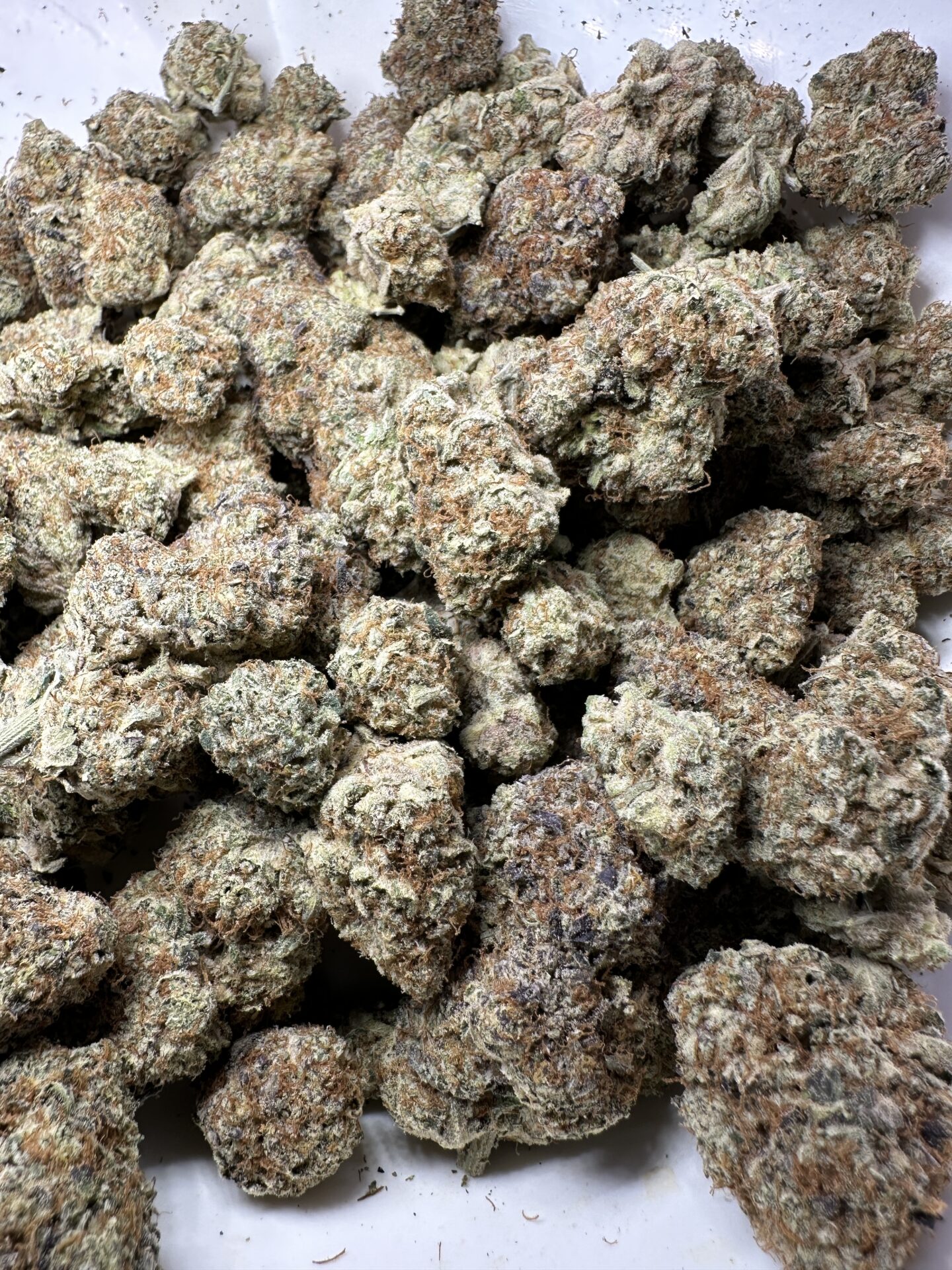 H-OG - Imperial NYC 2 Cannabis Delivery NYC - Imperial NYC Shop