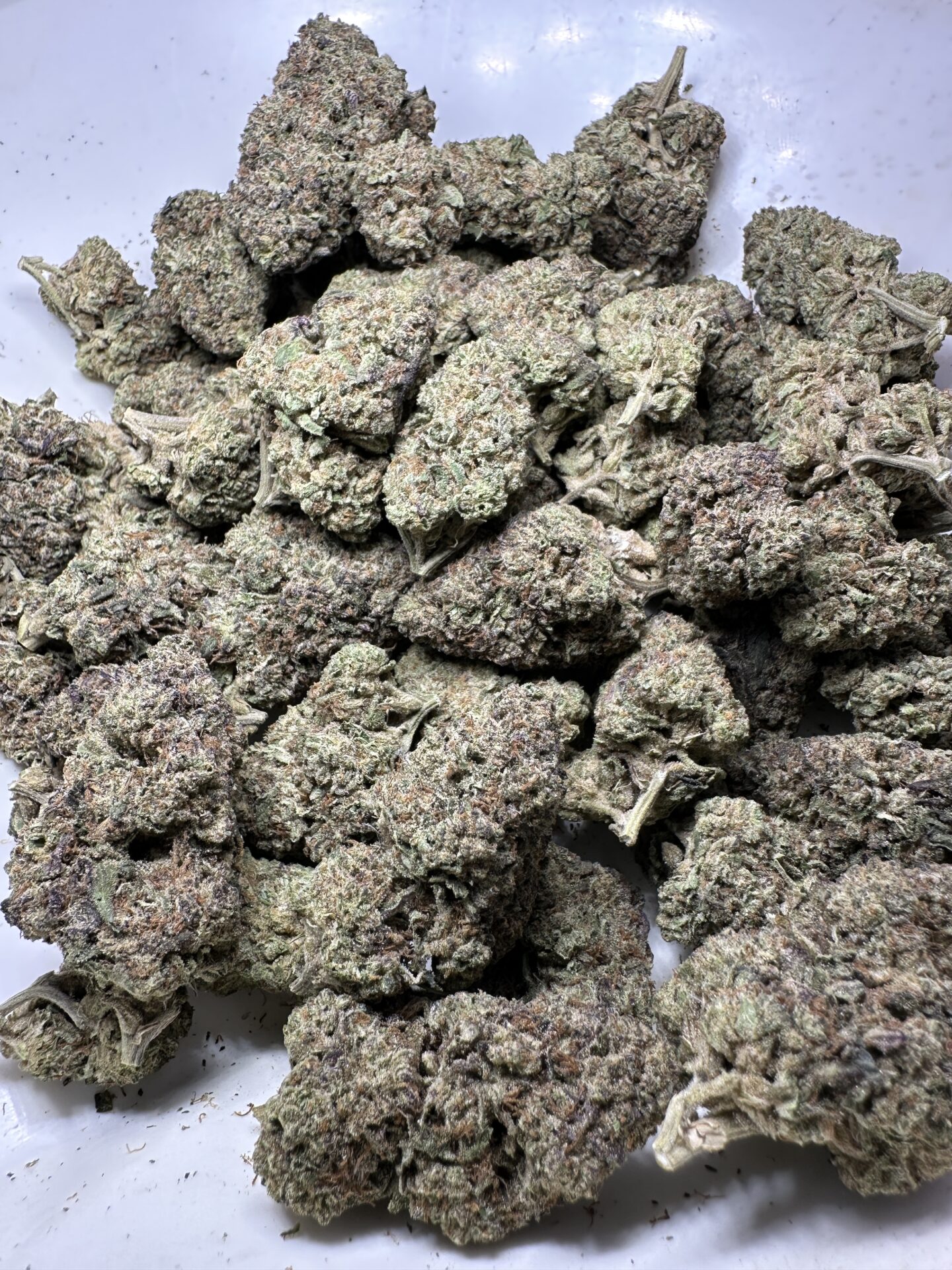 JEALOUSY - Imperial NYC 2 JEALOUSY - Image 2