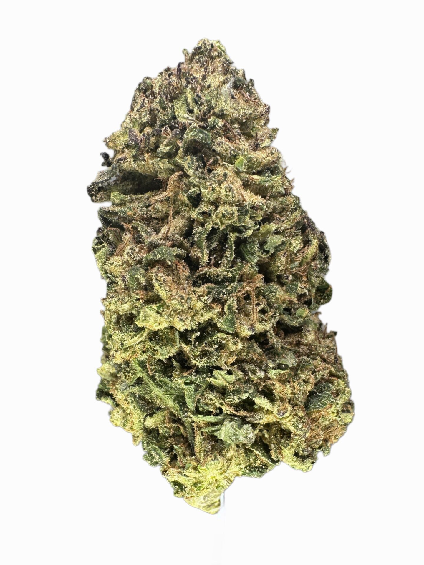 SHERBANGER - Imperial NYC 1 SHERBANGER