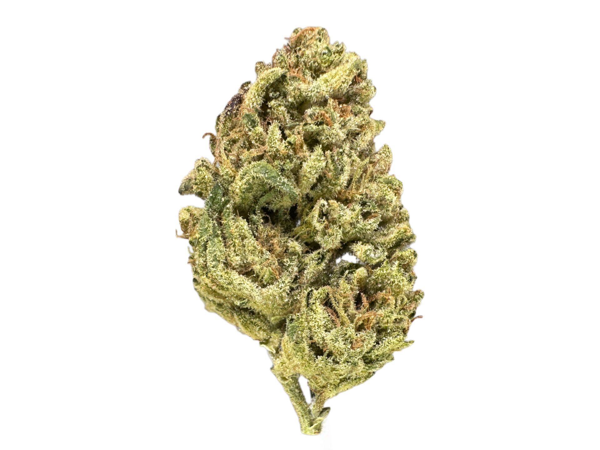 GRAPE APE - Imperial NYC 1 GRAPE APE