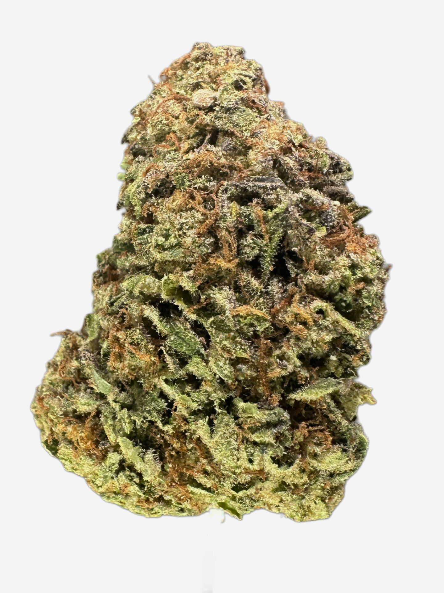 VIOLET FOG - Imperial NYC 1 VIOLET FOG