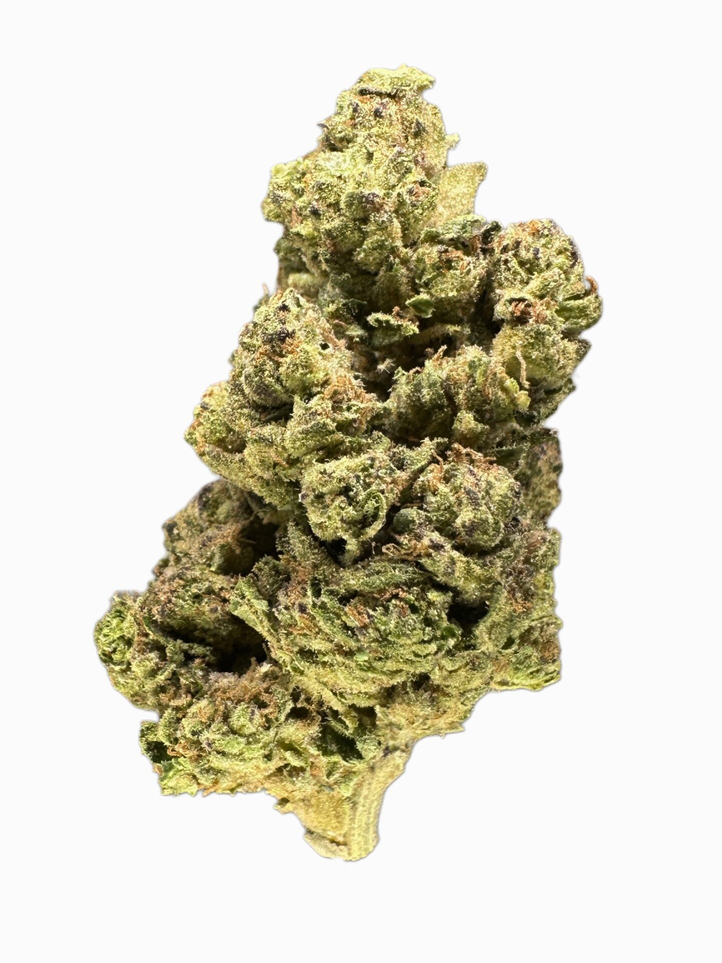 GROOKIES - Imperial NYC 1 GROOKIES