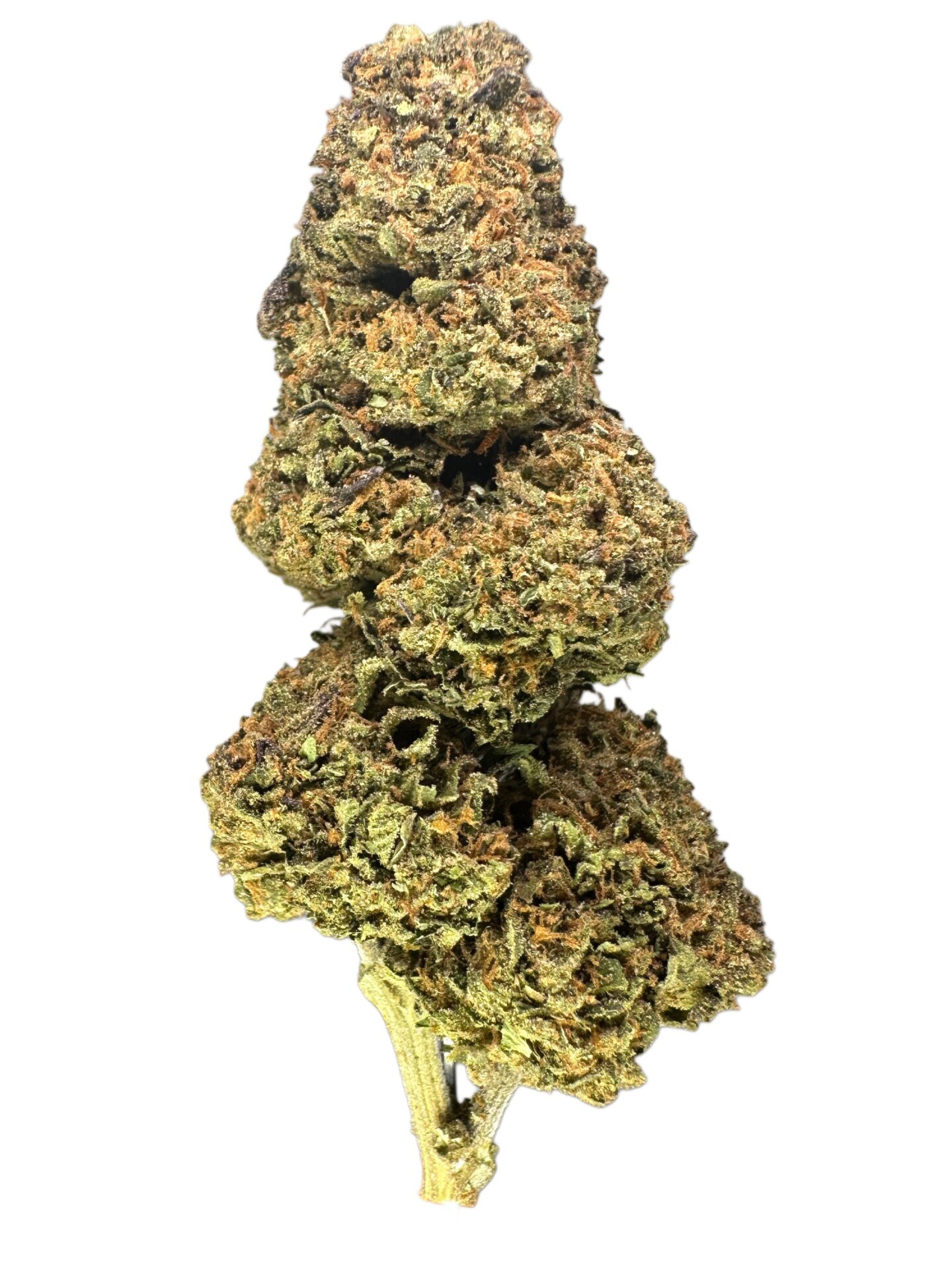 GELATO 41 - Imperial NYC 1 GELATO 41