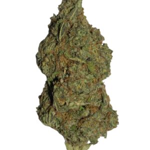 DURBAN POISON