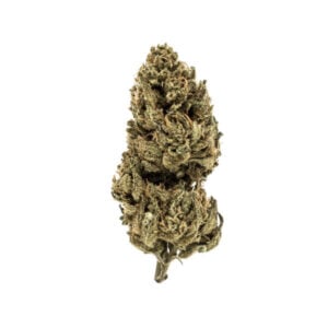 DURBAN Z