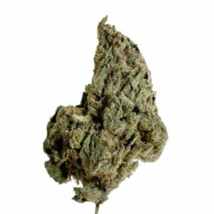 GELATO KING