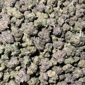 WHITE RUNTZ (MINIS)