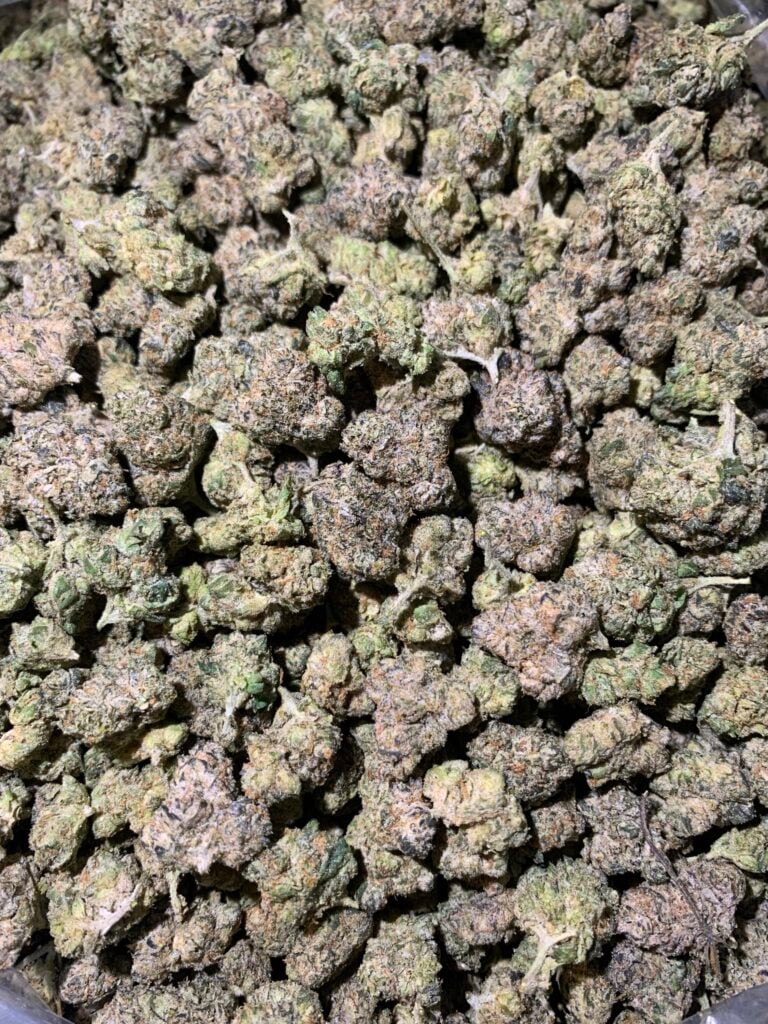WHITE RUNTZ (MINIS)